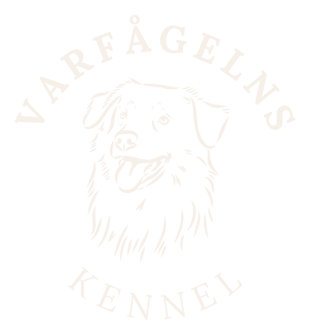 Varfågelns kennel